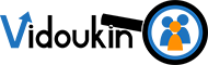 Vidoukin Logo
